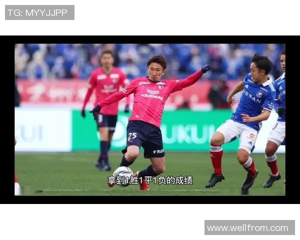 京都骑坐vs在线视频