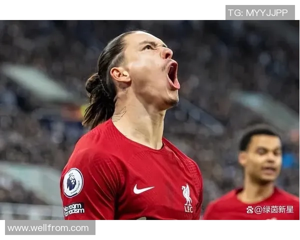 努涅斯在赛场上的崛起与挑战解析，未来能否成为足球界的新星