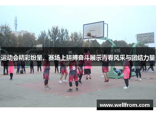 运动会精彩纷呈，赛场上拼搏奋斗展示青春风采与团结力量