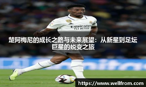 完美电竞官方网站